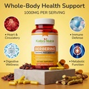 kaibro-nutra-berberine-supplement-1000mg-3.jpg