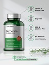 horbaach-berberine-hcl-supplement-500mg--4.jpg