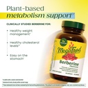 megafood-berberine-phytosome-berberine-s-4.jpg