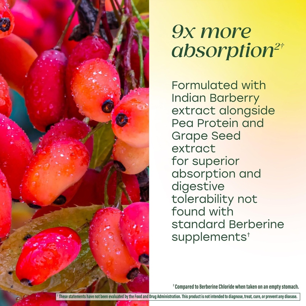 megafood-berberine-phytosome-berberine-s-3.jpg