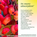 megafood-berberine-phytosome-berberine-s-3.jpg