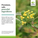 terry-naturally-berberine-dietary-supple-5.jpg