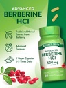 nature-s-truth-berberine-hcl-500mg-60-ca-5.jpg
