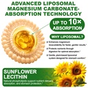 liposomal-magnesium-carbonate-gummies-50-6.jpg