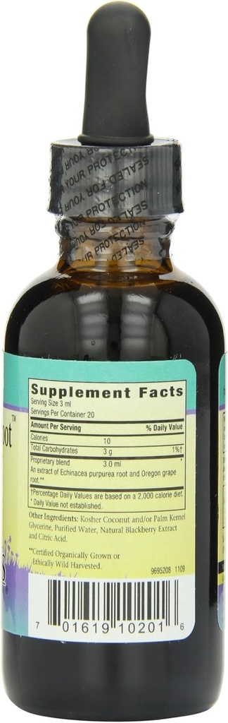 herbs-for-kids-echinaceagoldenroot-black-3.jpg