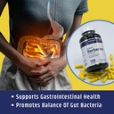 berberine-1000mg-supplement-complex-with-2.jpg