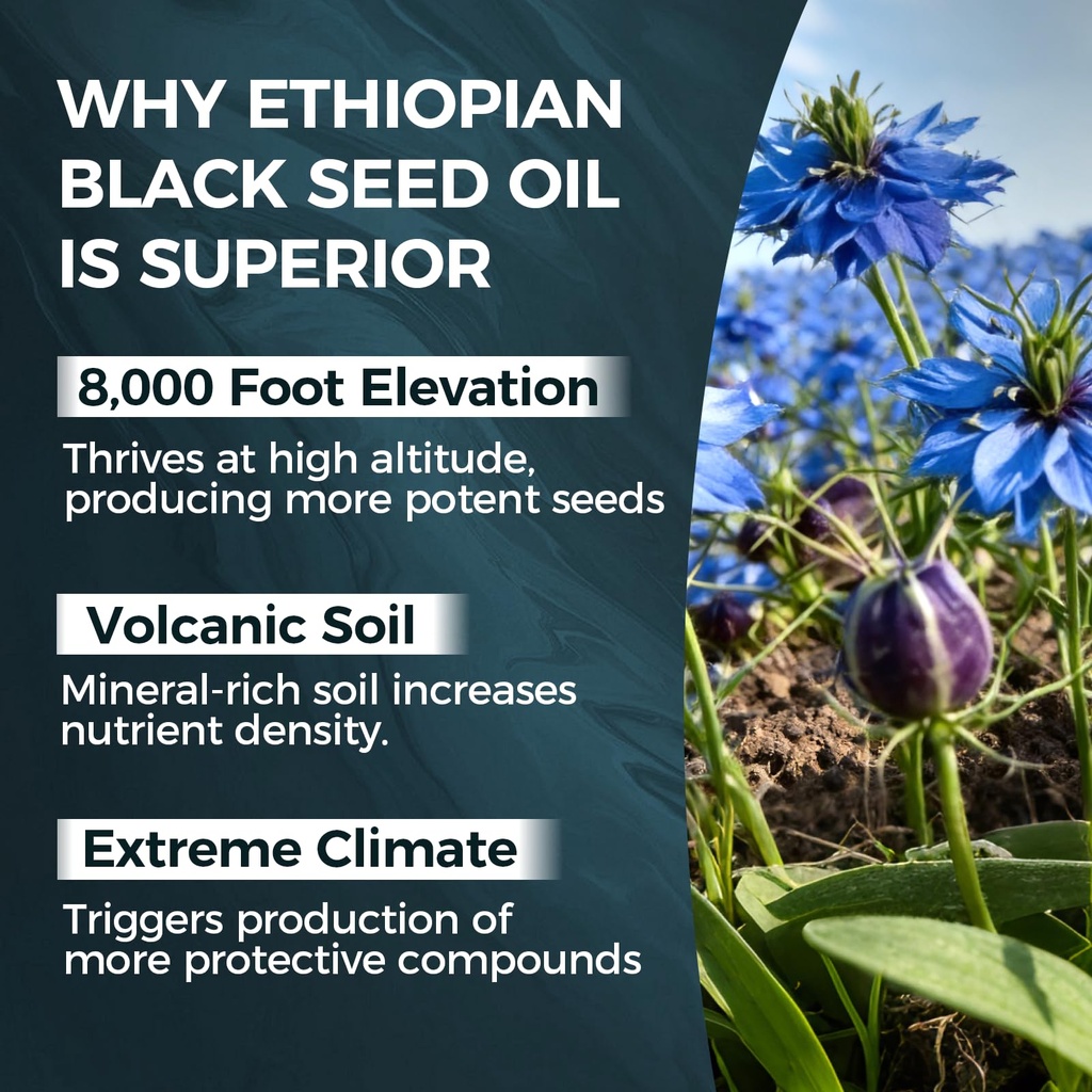 purelynutrient-ethiopian-black-seed-oil--3.jpg