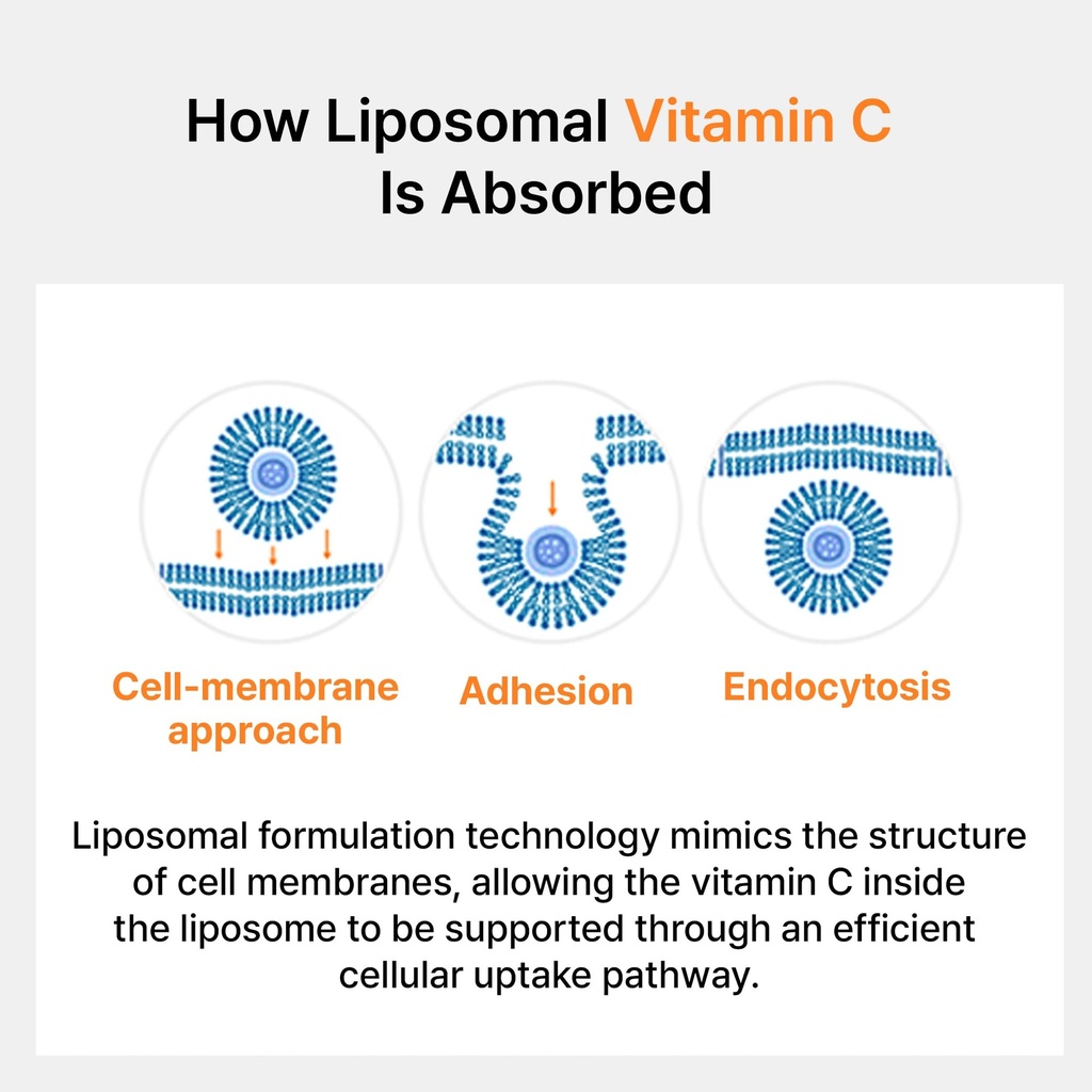 liposomal-vitamin-c-antioxidant-immune-s-5.jpg