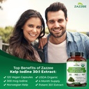 zazzee-usda-organic-kelp-iodine-30-1-ext-4.jpg