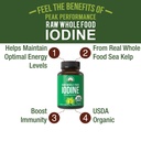 usda-organic-raw-whole-food-iodine-suppl-2.jpg