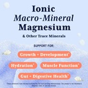 trace-minerals-for-kids-concentrated-ele-2.jpg