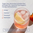 trace-minerals-hydro-pak-keto-electrolyt-2.jpg