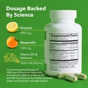 vitasupportmd---lymphatic-h-formula-bund-5.jpg