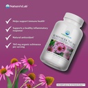 nature-s-lab-echinacea-760mg-dietary-sup-2.jpg