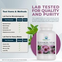 nature-s-lab-echinacea-760mg-dietary-sup-4.jpg