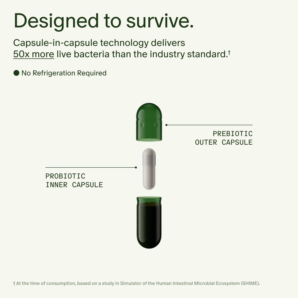 seed-ds-01-daily-synbiotic-for-adults-pd-4.jpg
