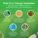 bundle-of-plant-based-omega-3-gummies-fo-6.jpg