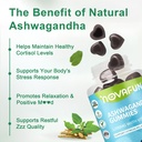 ashwagandha-gummies-melatonin-gummies-bu-4.jpg