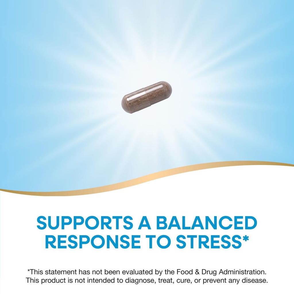 nature-s-way-ashwagandha-500-mg-per-serv-6.jpg