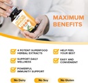 organifi-green-juice-superfood-powder-30-6.jpg