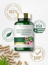 carlyle-echinacea-goldenseal-capsules-11-6.jpg