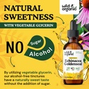 wild-organic-echinacea-goldenseal-liquid-6.jpg