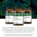 gaia-herbs-pro-epivital-digestive-health-6.jpg
