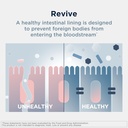 designs-for-health-gi-revive-gut-health--4.jpg