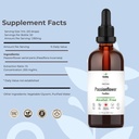 passionflower-tincture-alcohol-free-herb-2.jpg