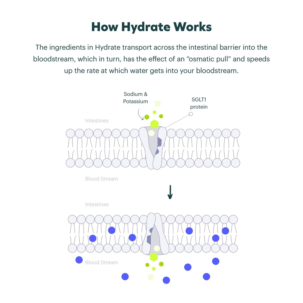 cheers-super-combo-restore-protect-hydra-6.jpg