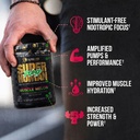 alpha-lion-superhuman-pump-pre-workout-p-2.jpg