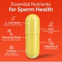 conceive-plus-motility-support-for-men-b-4.jpg