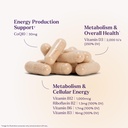 natrol-ultra-energy-4-in-1-blend-1000mcg-3.jpg