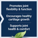 life-extension-nt2-collagen-joint-health-4.jpg