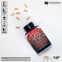 nootropics-depot-tongkat-ali-extract-cap-3.jpg