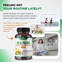 organic-sea-moss-capsules-with-black-see-2.jpg