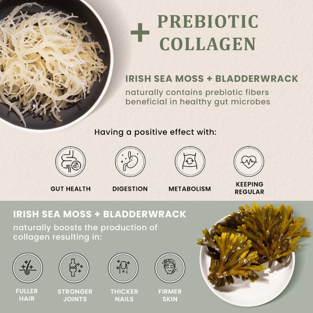 happy-fox-irish-sea-moss-capsules-with-b-5.jpg