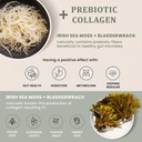 happy-fox-irish-sea-moss-capsules-with-b-5.jpg