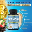 cadane-2-packs-irish-sea-moss-powder-cap-5.jpg