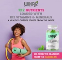 wixar-naturals-sea-moss-gummies-natural--6.jpg