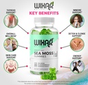 wixar-naturals-sea-moss-gummies-natural--3.jpg
