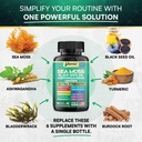 sea-moss-black-seed-oil-ashwagandha-turm-5.jpg