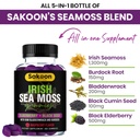 sakoon-nutrition-irish-sea-moss-gummies--6.jpg