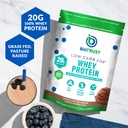 biotrust-low-carb-lite-20-grams-of-grass-3.jpg