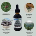 pine-needle-liquid-tincture-herbal-liqui-2.jpg