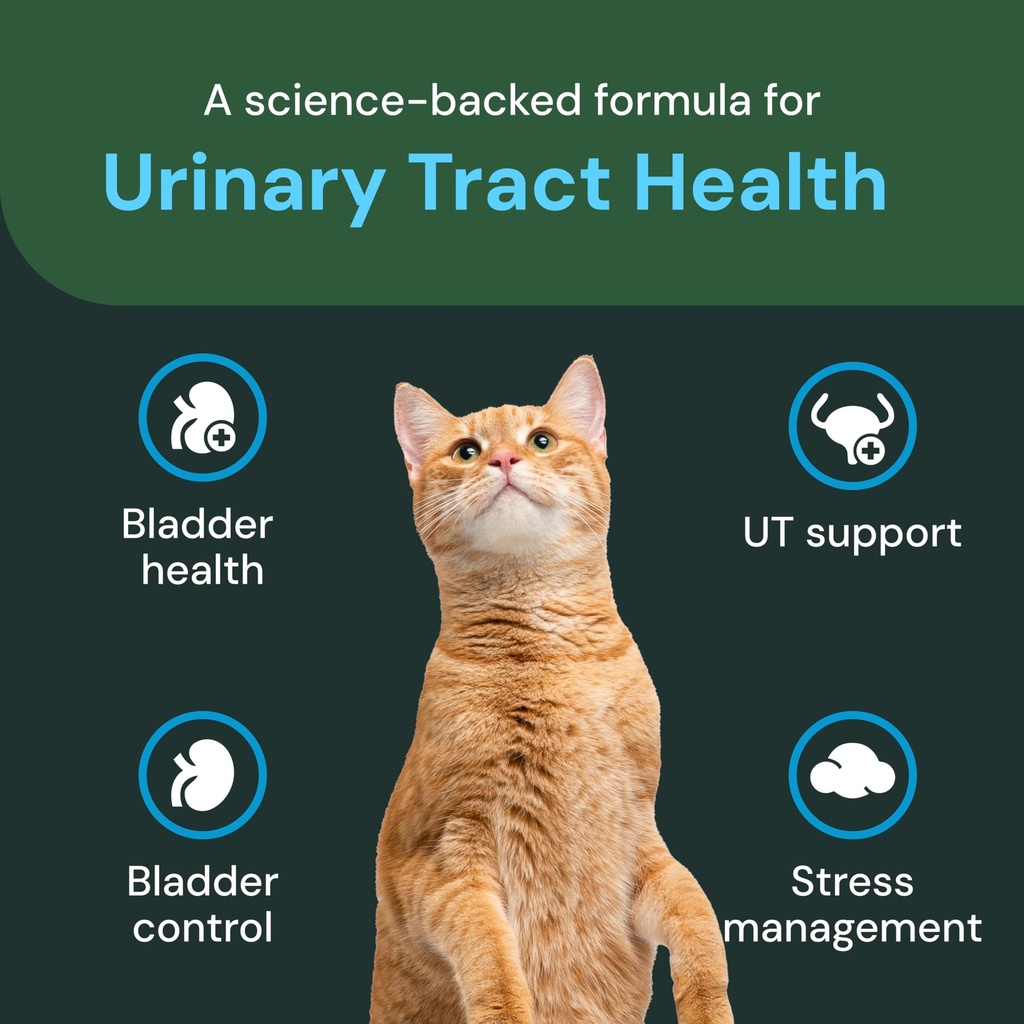 vetriscience-veterinary-strength-ut-heal-4.jpg