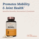 live-conscious-glucosamine-chondroitin-w-5.jpg