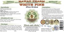 white-pine-alcohol-free-liquid-extract-w-2.jpg