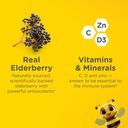 zarbee-s-no-sugar-coating-elderberry-gum-2.jpg