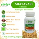 shatavari-asparagus-racemosus-forte-caps-5.jpg